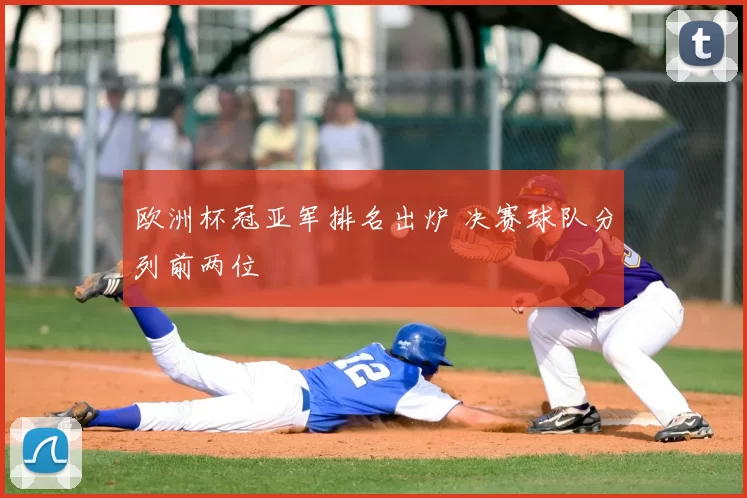 欧洲杯冠亚军排名出炉 决赛球队分列前两位