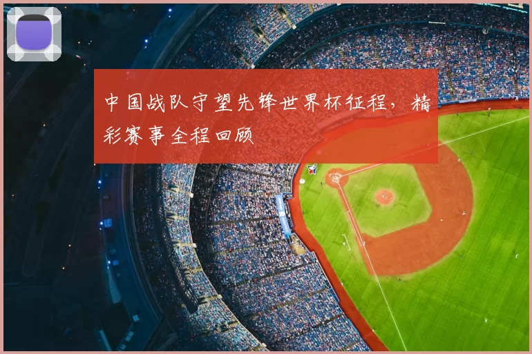 中国战队守望先锋世界杯征程，精彩赛事全程回顾
