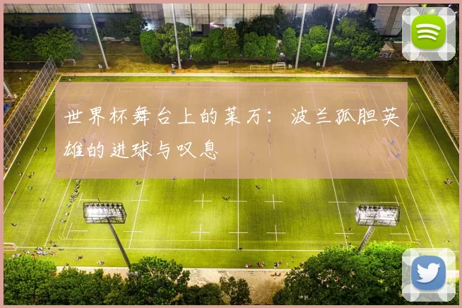 世界杯舞台上的莱万：波兰孤胆英雄的进球与叹息