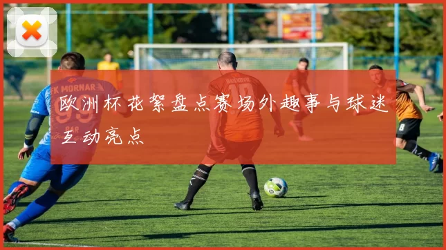 欧洲杯花絮盘点赛场外趣事与球迷互动亮点