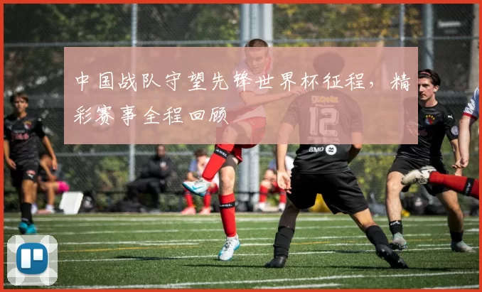 中国战队守望先锋世界杯征程,精彩赛事全程回顾