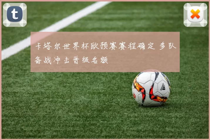 卡塔尔世界杯欧预赛赛程确定 多队备战冲击晋级名额