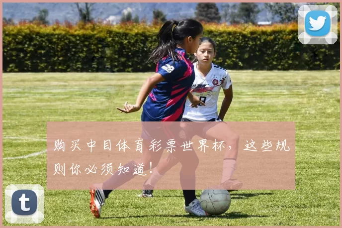 购买中目体育彩票世界杯,这些规则你必须知道!