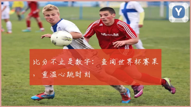 比分不止是数字:查询世界杯赛果,重温心跳时刻