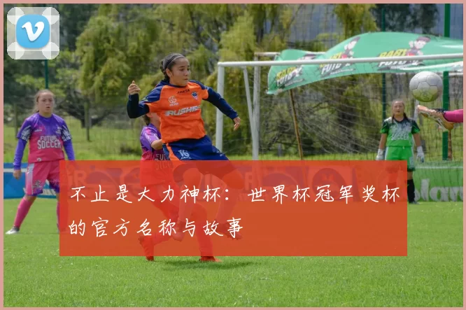 不止是大力神杯:世界杯冠军奖杯的官方名称与故事