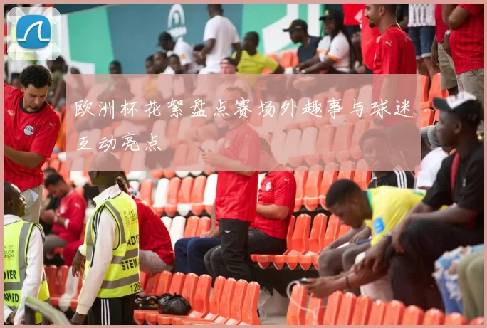 欧洲杯花絮盘点赛场外趣事与球迷互动亮点