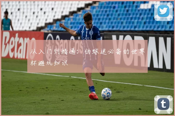 从入门到精通:伪球迷必备的世界杯避坑知识